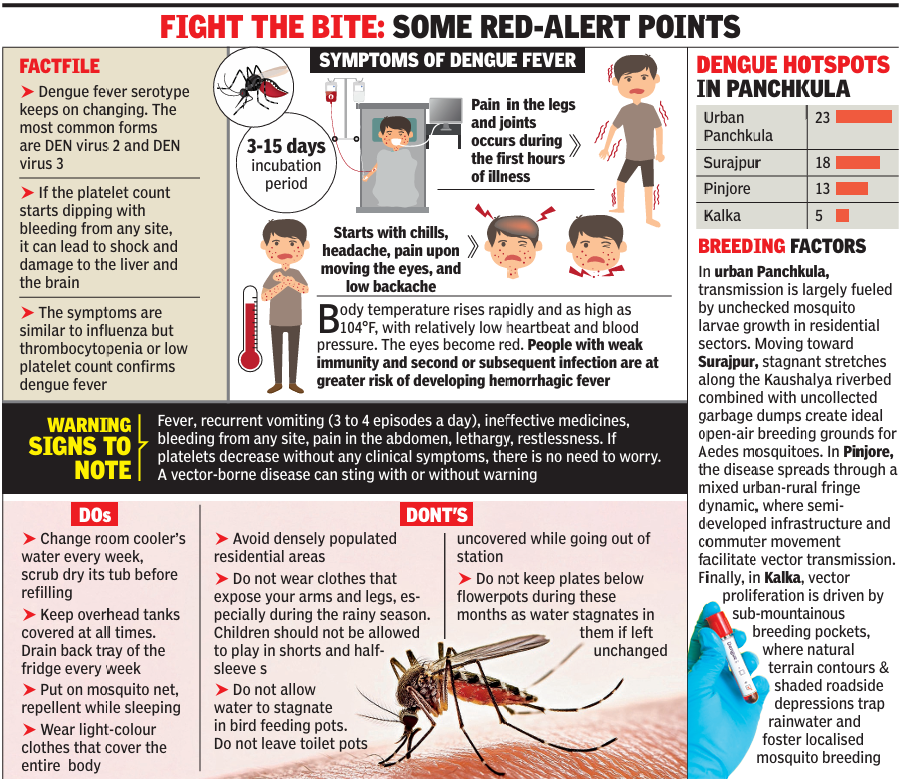 Dengue spikes to 67 cases in Panchkula