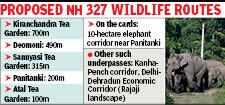 Ecological Corridors Secured via Five New Underpasses on National Highway 327