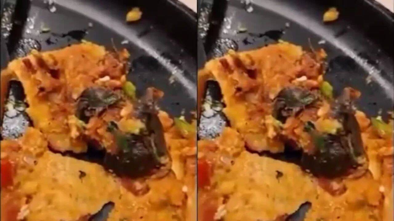 Rat in dosa, Rs 25L demand: How complaint against Mumbai hotel took an extortion turn