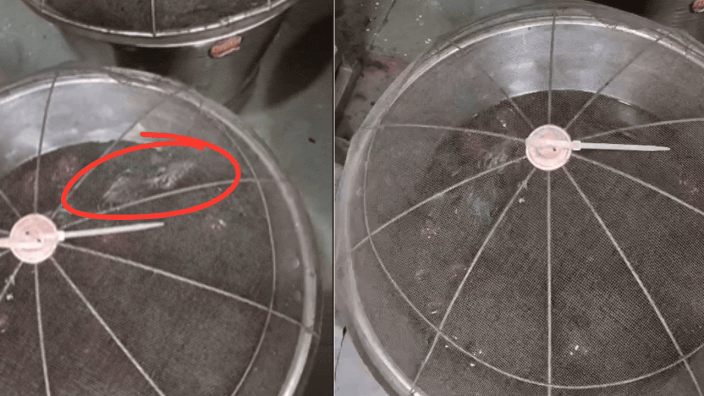 Watch: Rat found swimming in gulab jamun container at Bhiwandi sweet shop; FDA orders closure