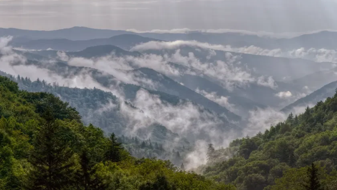 Rockefeller fund matched $5m, helping create Great Smoky Mountains National Park