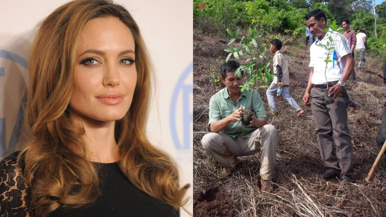 Angelina Jolie’s Cambodia foundation now protects 60,994 hectares of forest