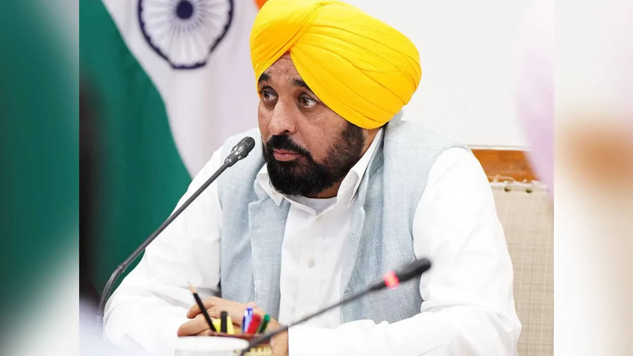 Punjab CM launches Hunar, Fast Track portals