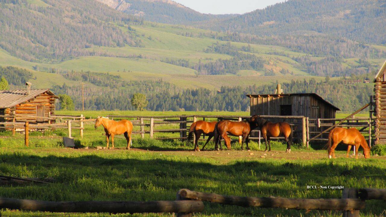California’s Rancho Cariñoso beachfront horse ranch sells for $22.55M after $109M asking price