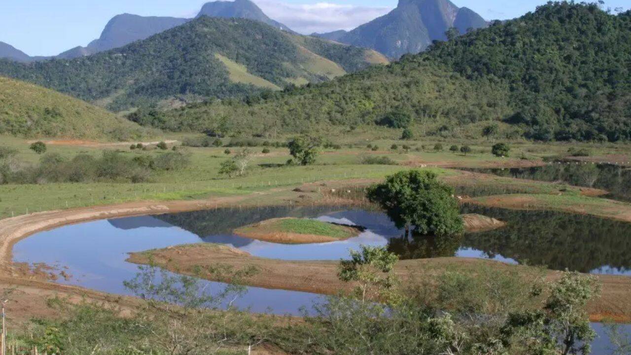 Brazil plants 840,000 trees to restore 607 hectares of Atlantic Forest