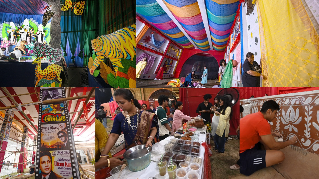 Delhi's Durga Puja: A Festival of Cultural Resilience