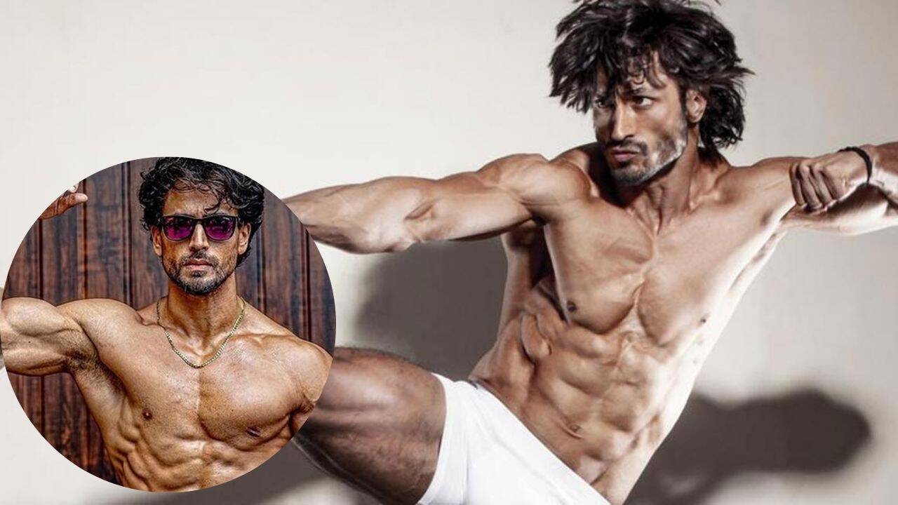 Vidyut Jammwal plans big action movie with Tiger Shroff, searches for director
