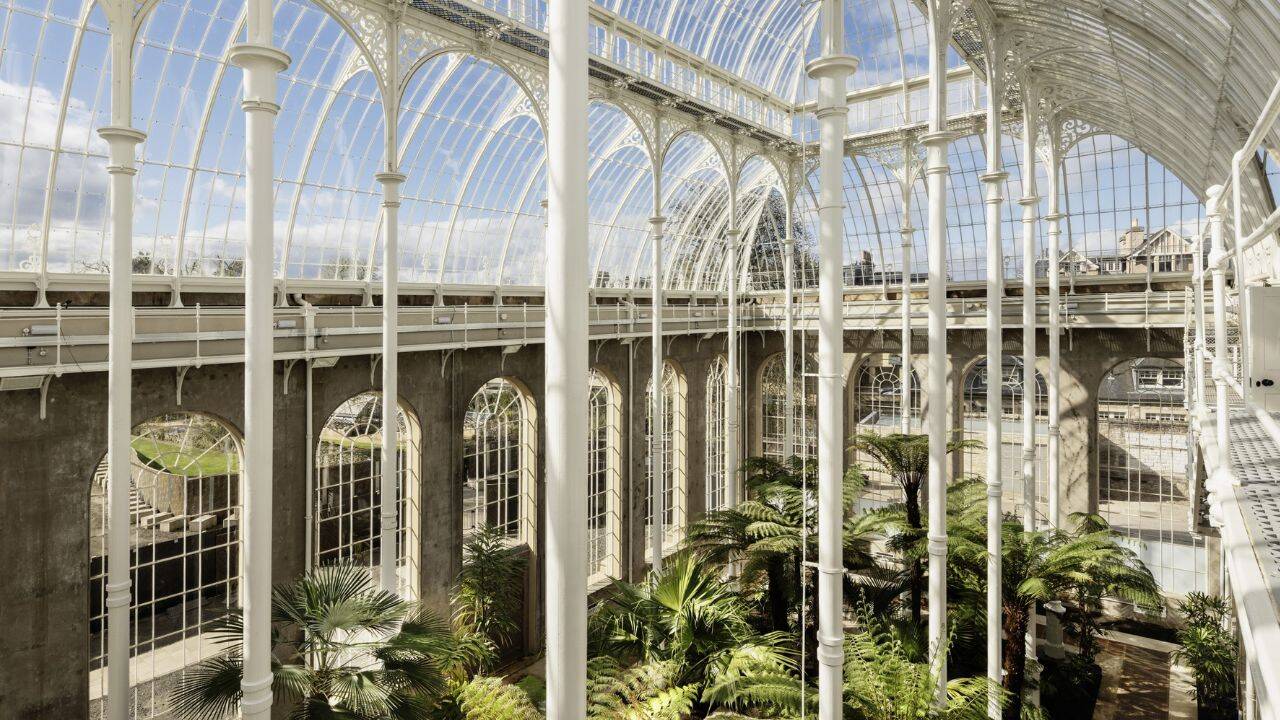 Edinburgh's historic Palm Houses reopen after a £23.5m restoration replaced 5,750 panes of glass