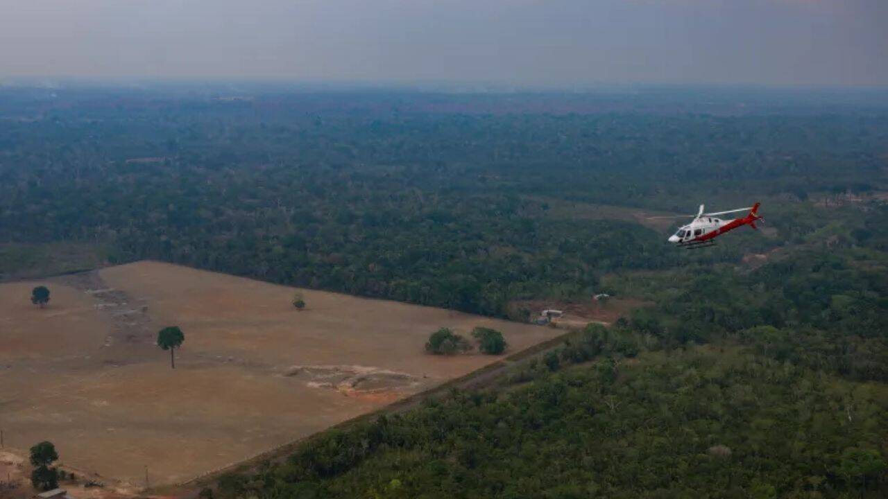 Brazil's Amazon deforestation hits record low: Why it matters amid election battle