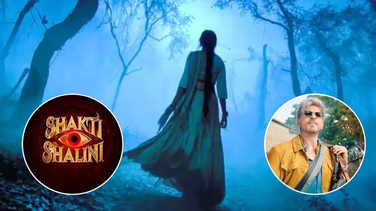 'Shakti Shalini' vs 'King': Aneet Padda’s film sticking to Dec 24 release despite clash?