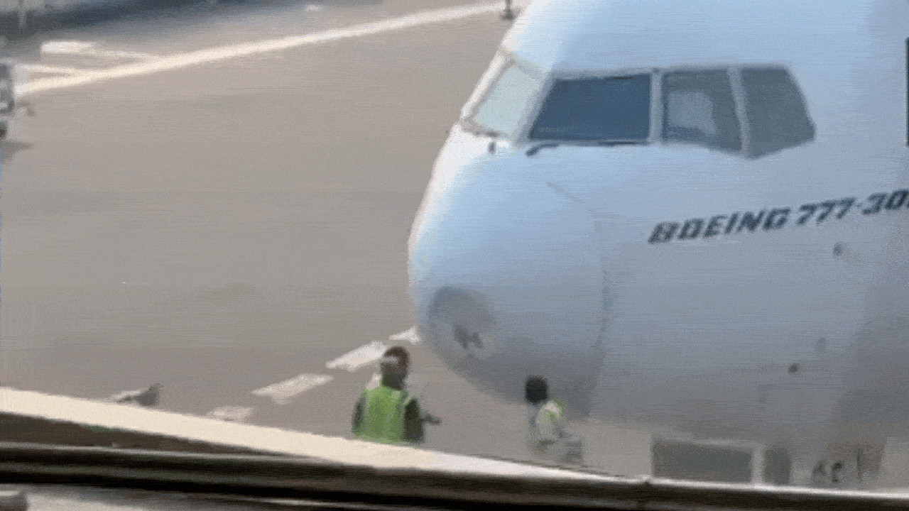 Watch: Bird strike damages Emirates aircraft, Delhi-Dubai flight delayed
