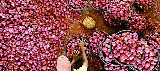 Central Government Dispatches Onion Express to Tripura to Stabilise Festive Prices