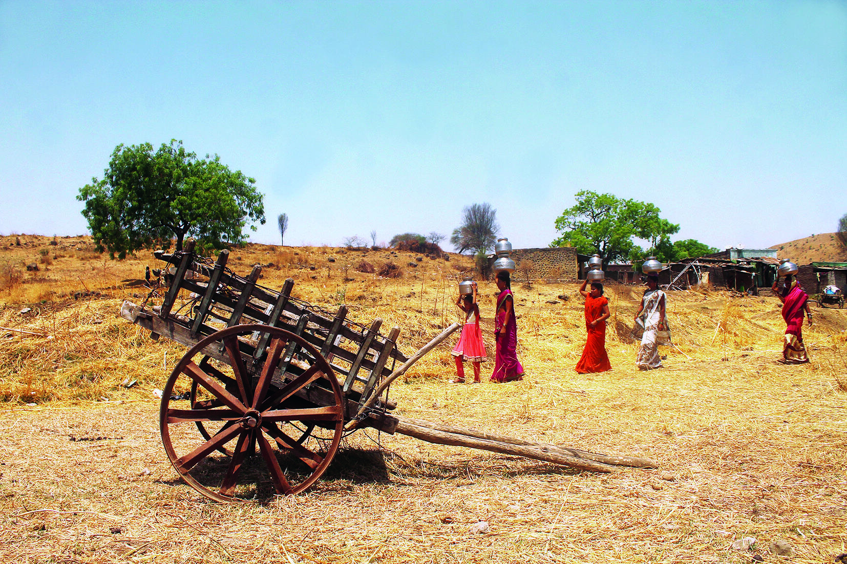 Farmers in Mulshi and Maval Demand Drought Relief as Paddy Losses Mount