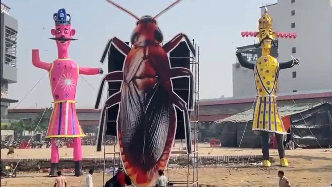 ‘Thank you for free publicity’: Dipke on cockroach effigy being burnt alongside Ravan on Dussehra