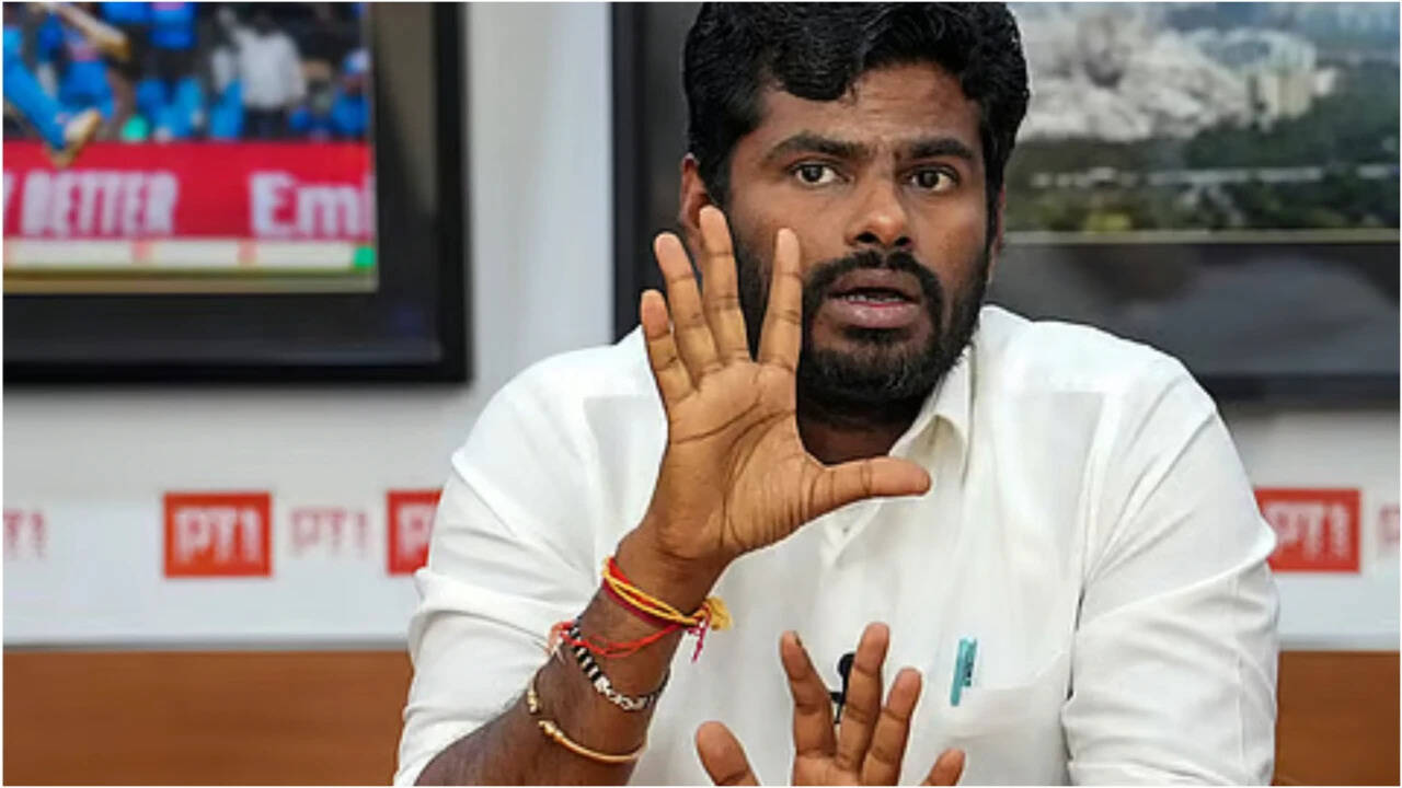 ‘Felt very happy’: Annamalai welcomes Bhagwat's remarks on Muslims' place in India