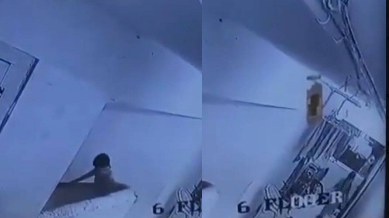 A Mumbai toddler was playing with a cat outside her 6th-floor home when her 10-year-old neighbour lured her towards lift and threw her down stairwell before running away; her brother later spotted her body in basement