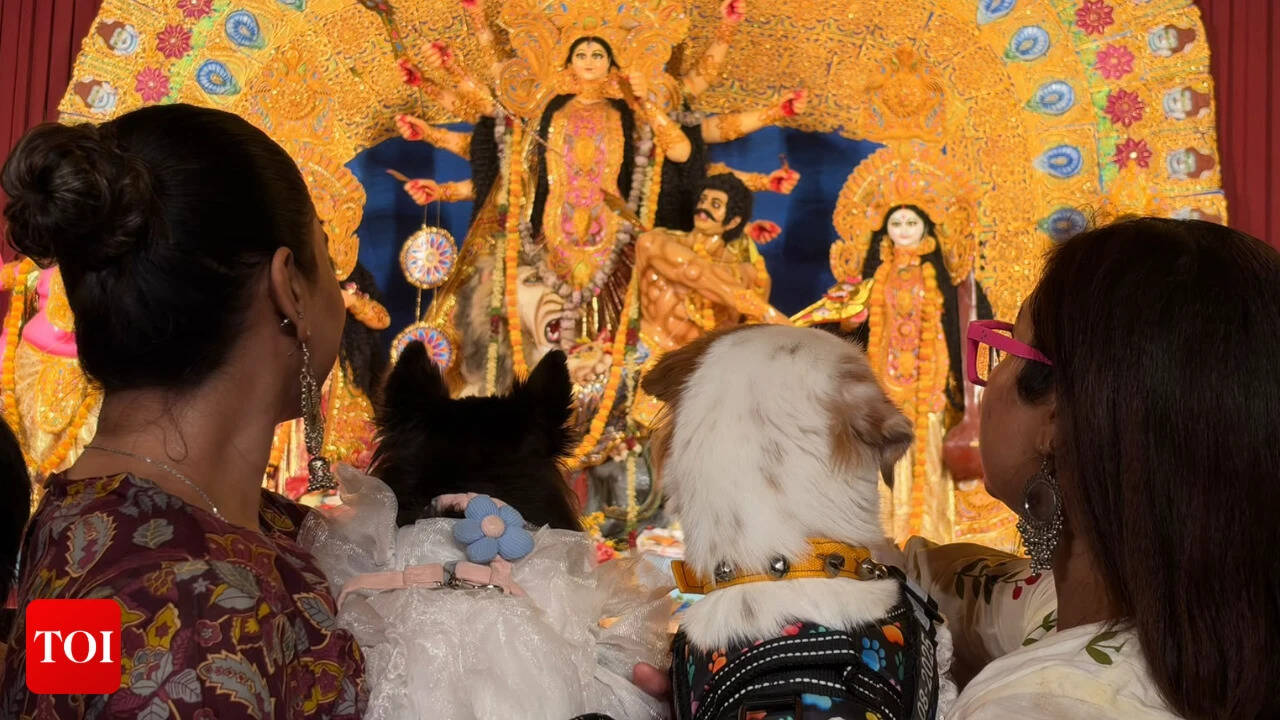 Pets at the Pujo: Hyderabad’s Durga Pujas make room for four-legged furry friends