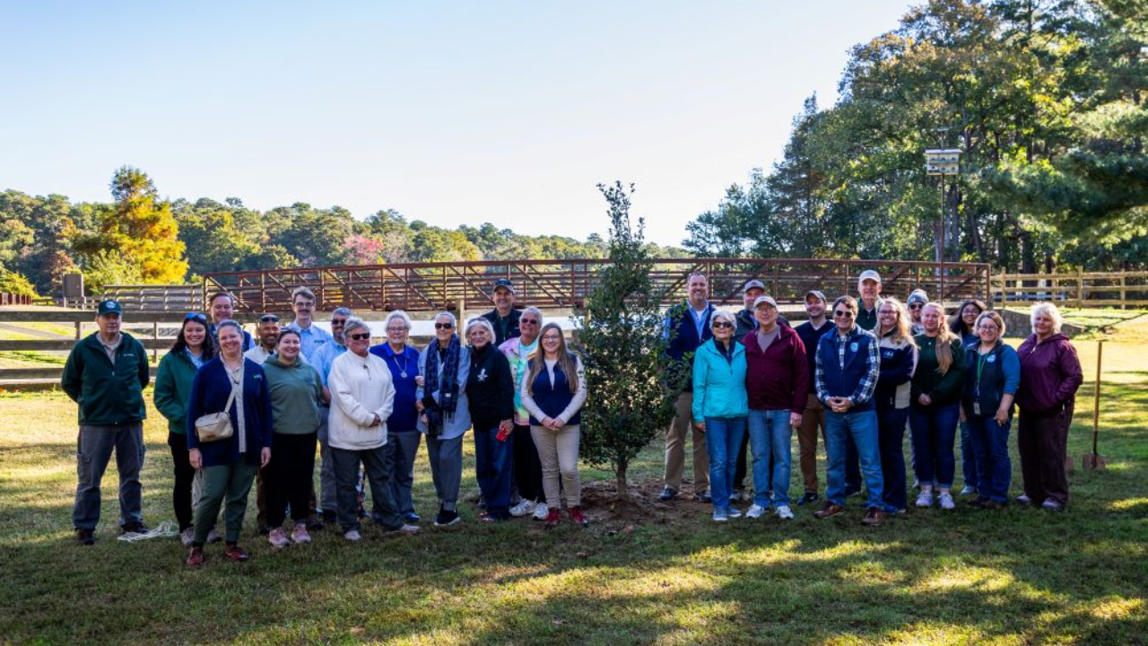 Delaware plants 75,000th tree across 17 state parks, meets 5-year goal