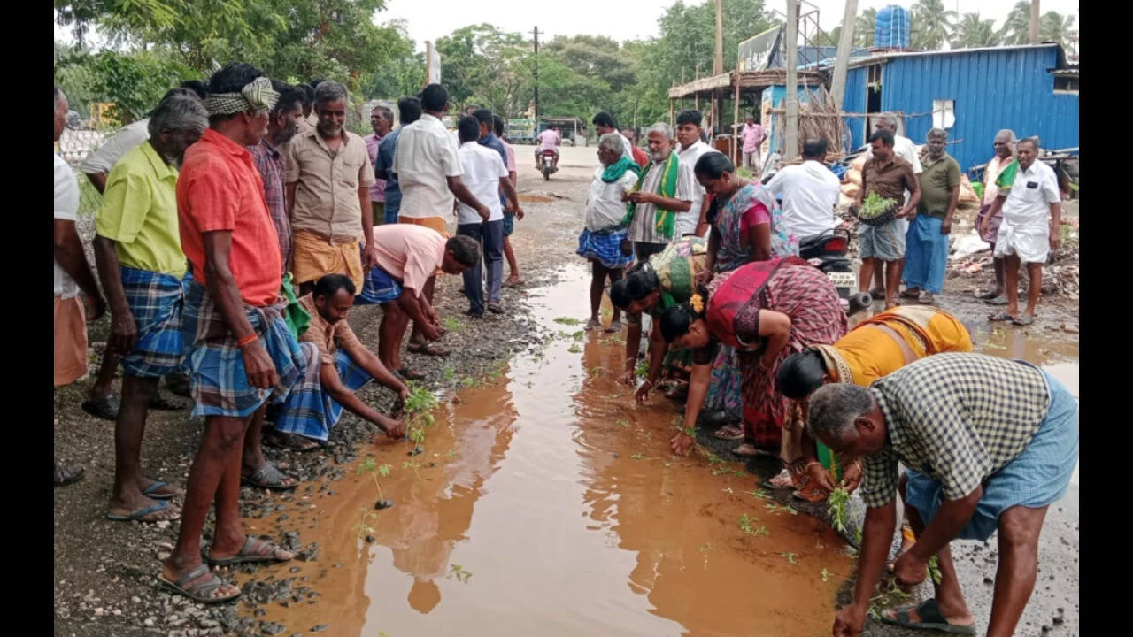 Farmers plant saplings on potholed roads in Tirupur district to press for repairs