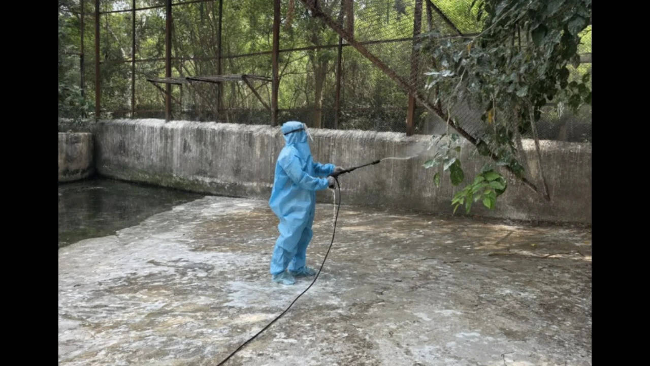 Seven waterbirds die of avian influenza in Chennai’s Vandalur zoo