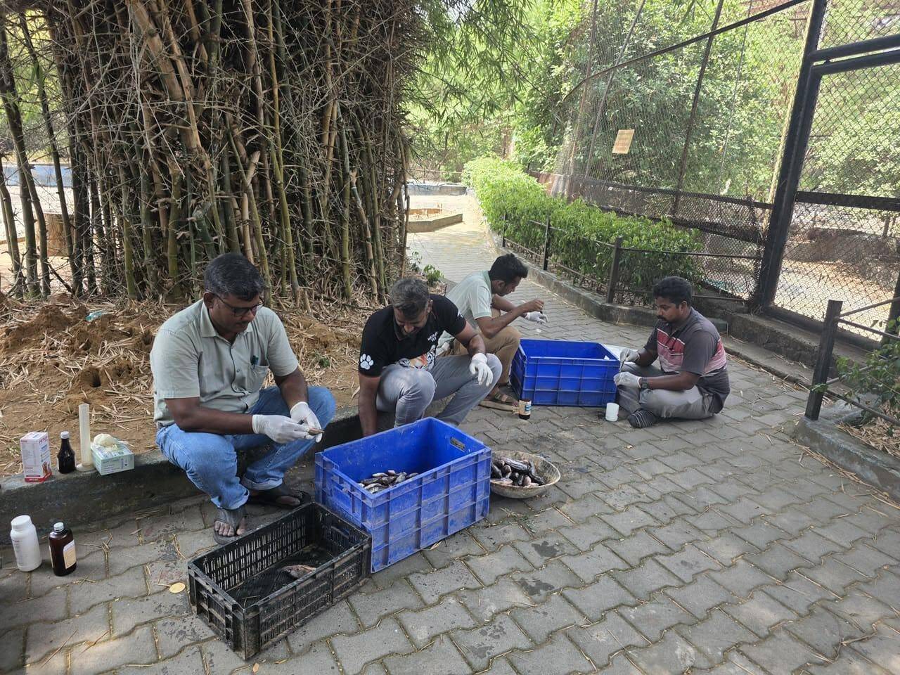 Vandalur zoo closes for two days after bird flu deaths