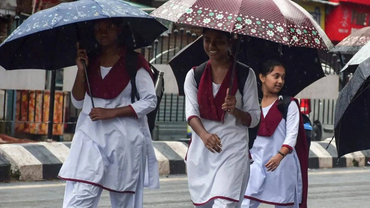 Tamil Nadu school holiday today: Schools closed in several districts amid heavy rainfall; check details here