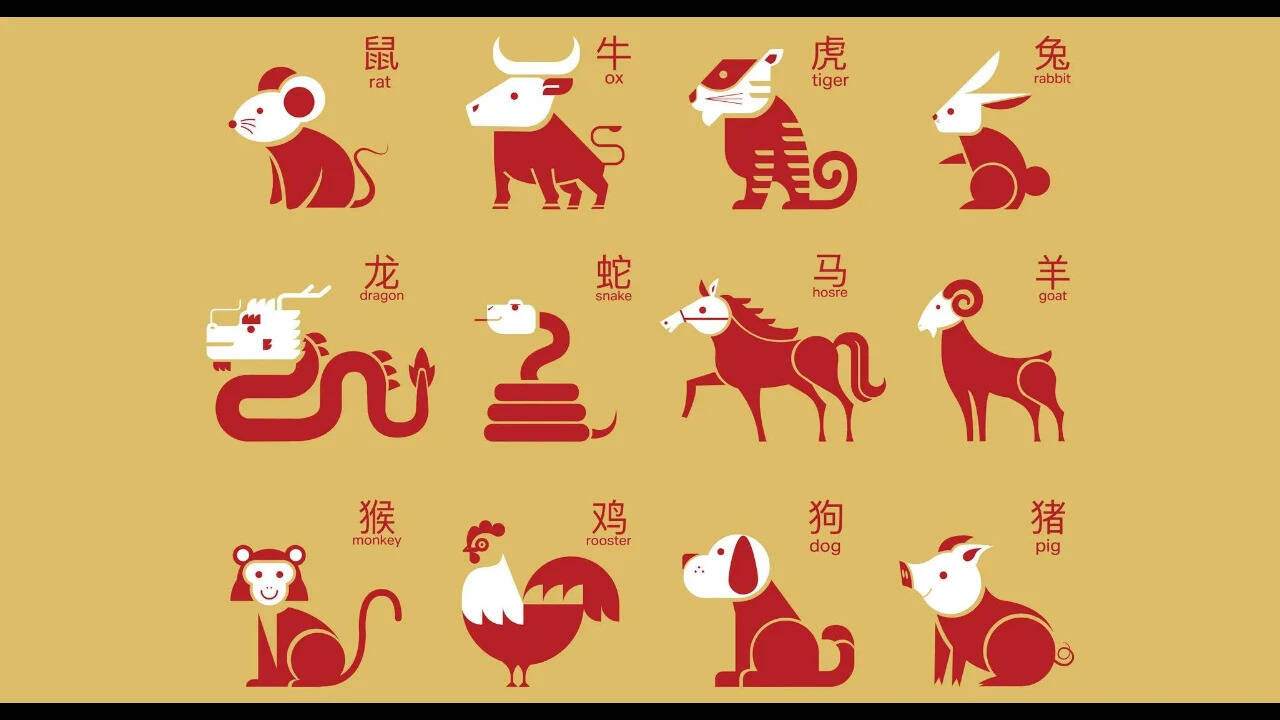 Daily Chinese Zodiac Horoscope: Gentle words ease home tensions; some signs enjoy harmony