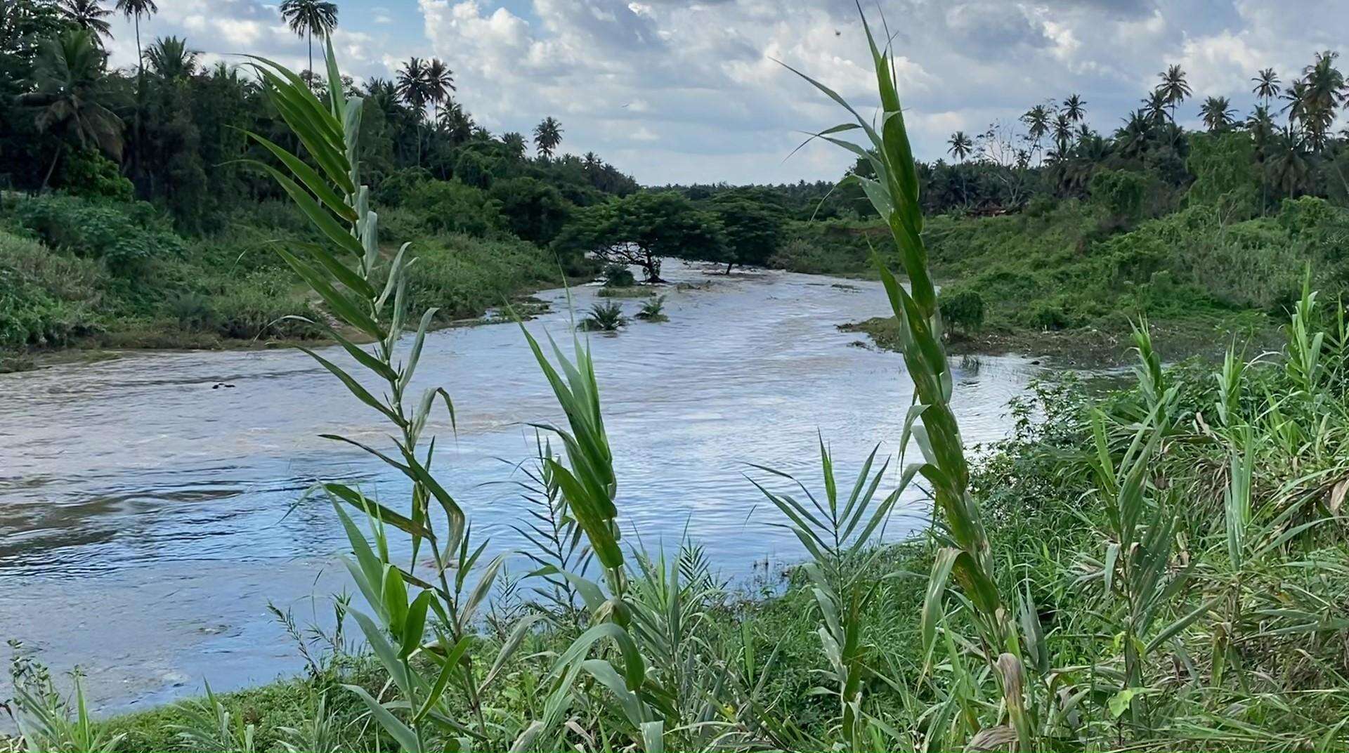 Field Study Reveals Alarming Pollution in Karnataka’s Arkavathi River