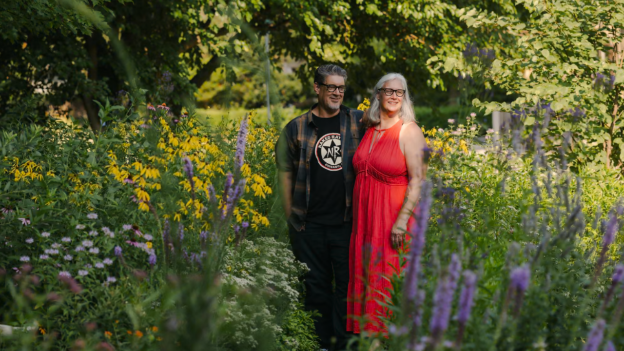 Illinois couple replaces lawn with native plants; wildlife flourishes after five years