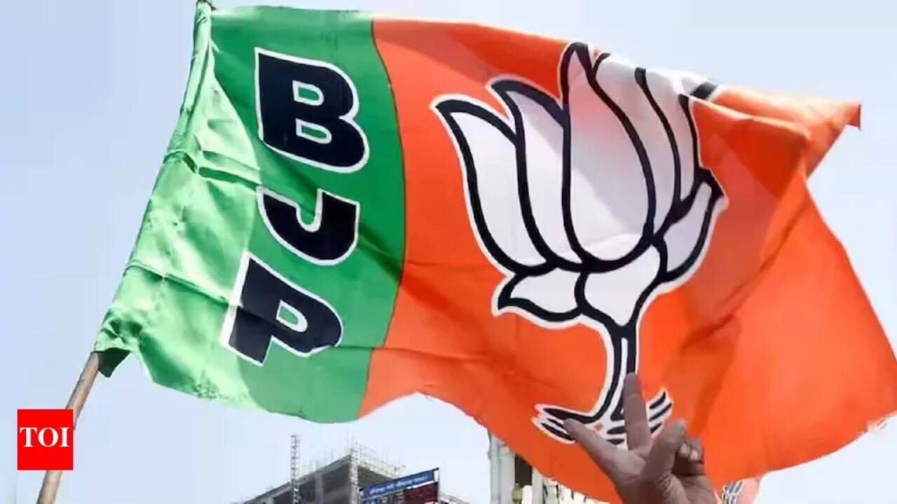 Democracy vs mobocracy: BJP plans nation-wide campaign