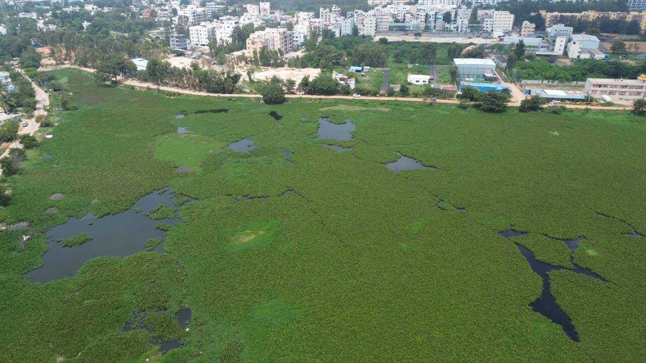 Bengaluru's Lake Blueprint: Ecology and Flood Control Take Center Stage
