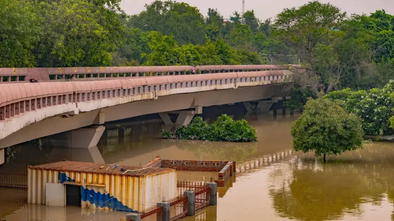 Delhi Proposes Pedestrian ‘Shadow Roads’ to Connect Parks and Green Corridors