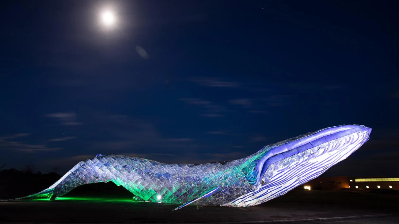 California artists made an 82-foot whale from 5,000 pounds of plastic, earning national recognition