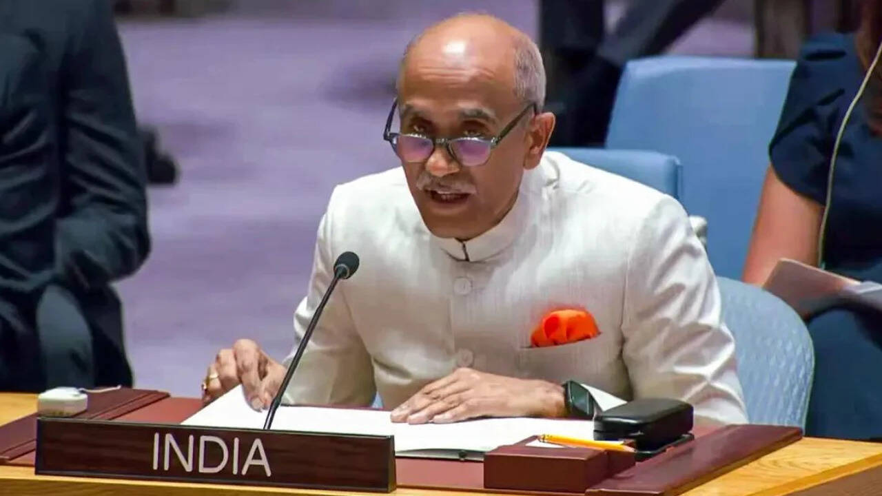 'Veto should be held by all permanent members': India at UN