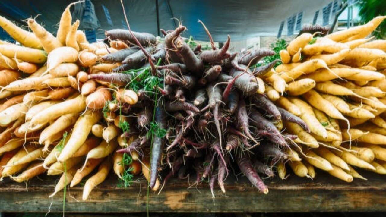 How to grow crunchy carrots at home: 5 simple steps for your kitchen garden