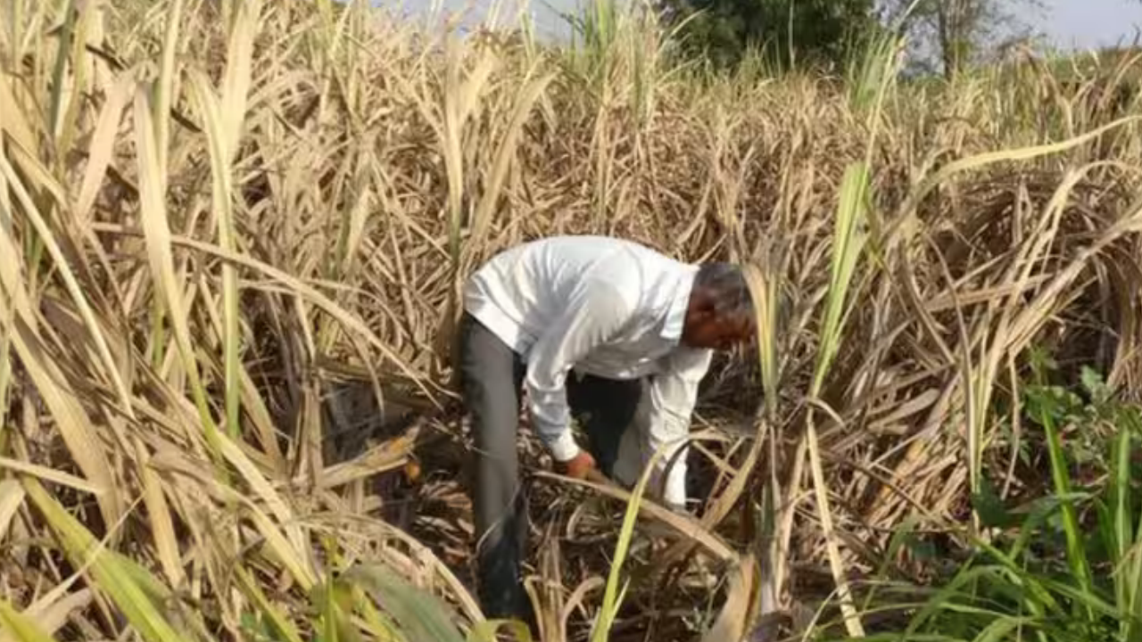 8 districts, 11 villages: Yogi govet’s (land)mark for farmers of UP