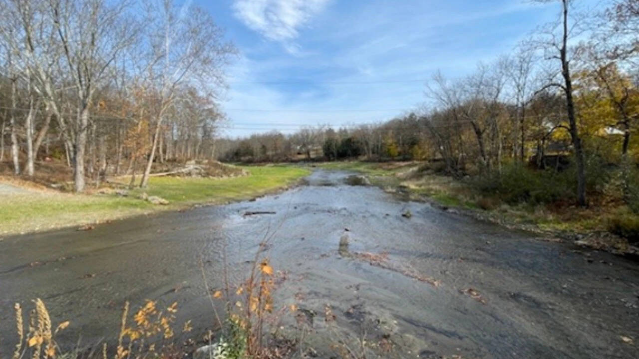 New Jersey’s 2019 dam removal brings eels and shad back upstream, study finds