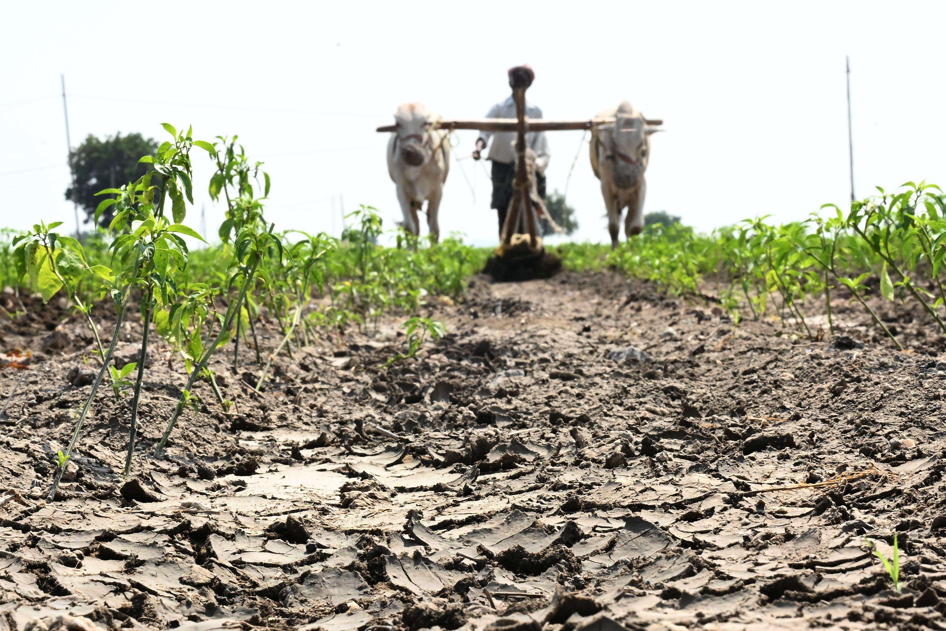 Monsoon deficit bites: 365 mandals across T declared drought-hit