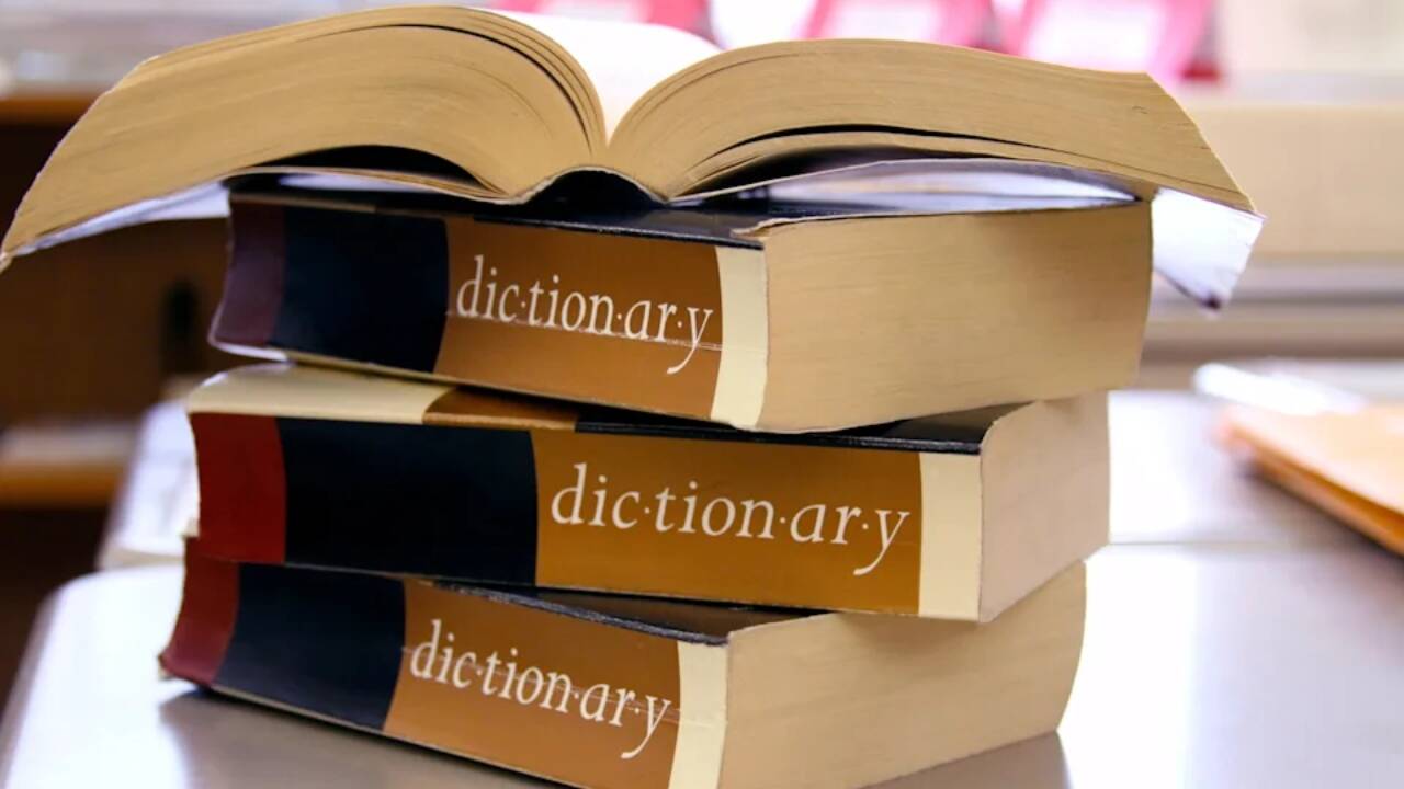 ‘Maxxing’ becomes Dictionary.com’s 2026 Word of the Year