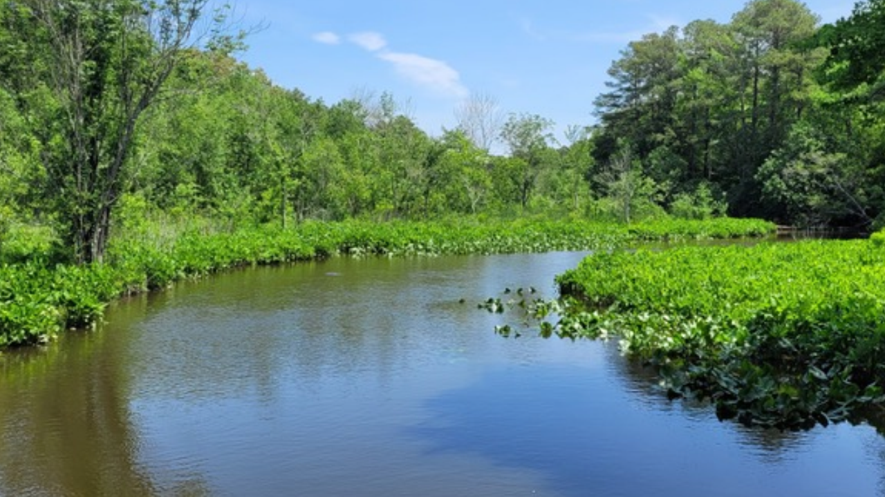 181 acres of land preserved across Maryland and Delaware