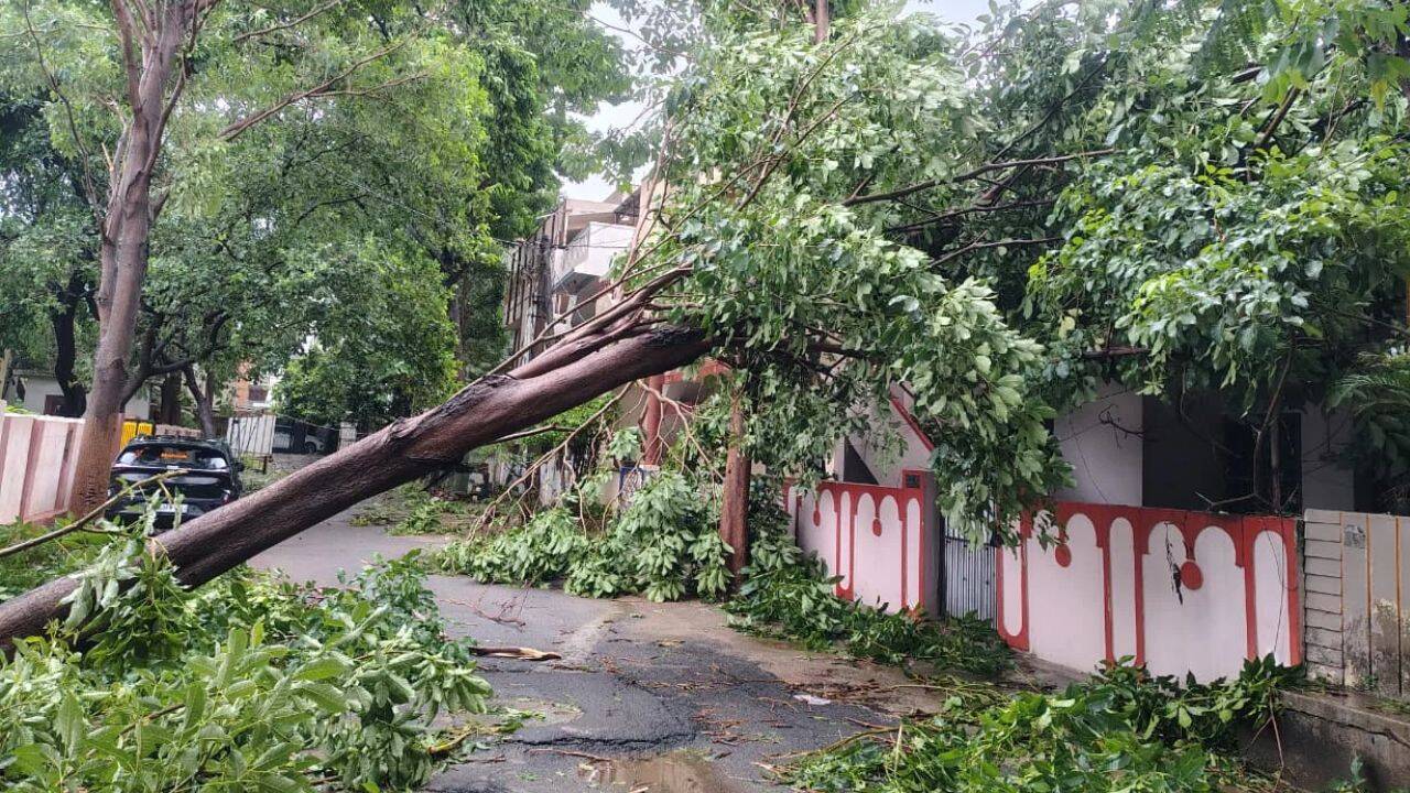 Cyclone Arnab: Over 50 trains, several flights cancelled; Andhra, Odisha worst-hit