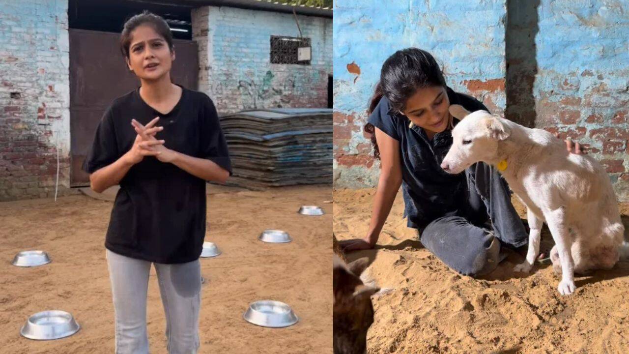 Meet Jagriti Mishra: Animal rescuer's viral shelter video reaches Delhi CM