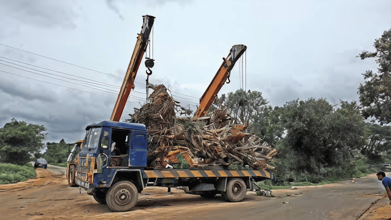 Hyderabad developer moved 800 mango trees instead of cutting them for a road; it took 8 months