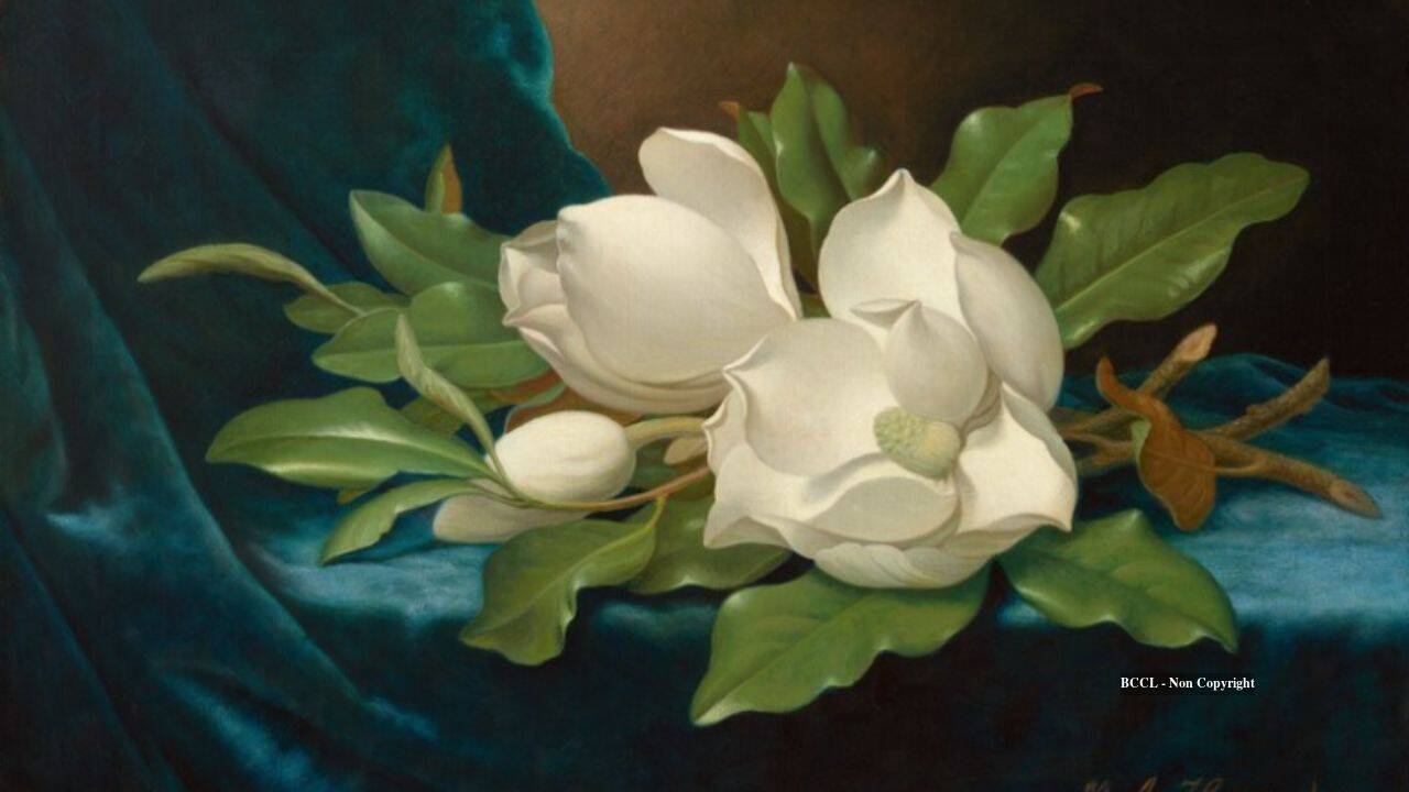 Man buys two paintings for $60, discovers they're worth $1.072m; sellers lose