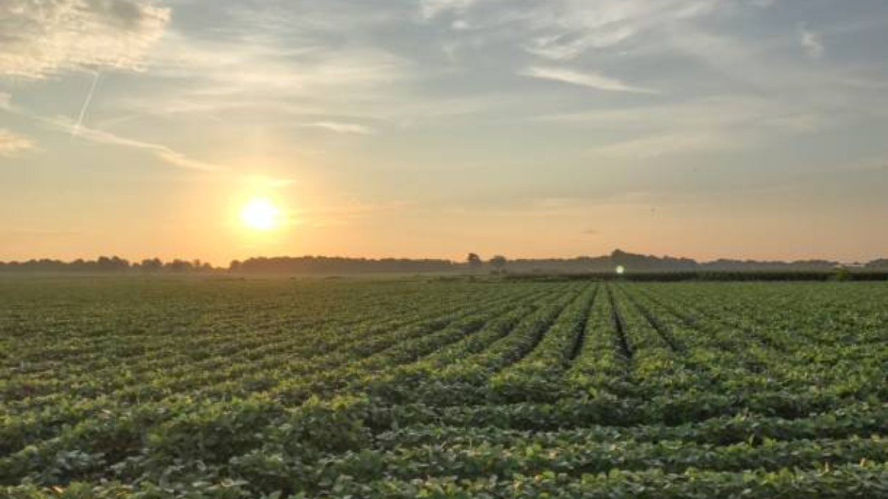 Arkansas took just 1.62 acres from a family trust and valued the loss at $417,825; after an 11-year fight over road access, court upholds $3 million award