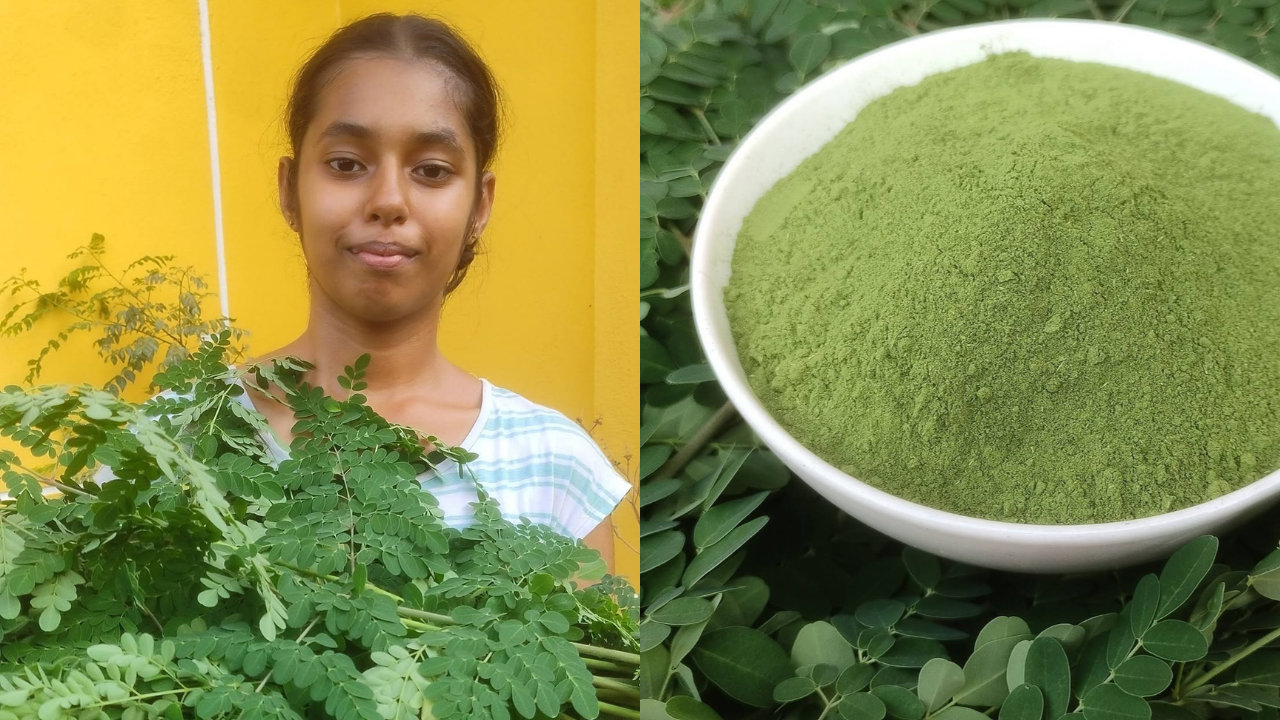13-year-old Goan girl turns backyard moringa into powder business