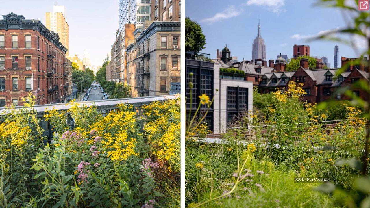 High Line's final garden with 2,000 perennials to open in November