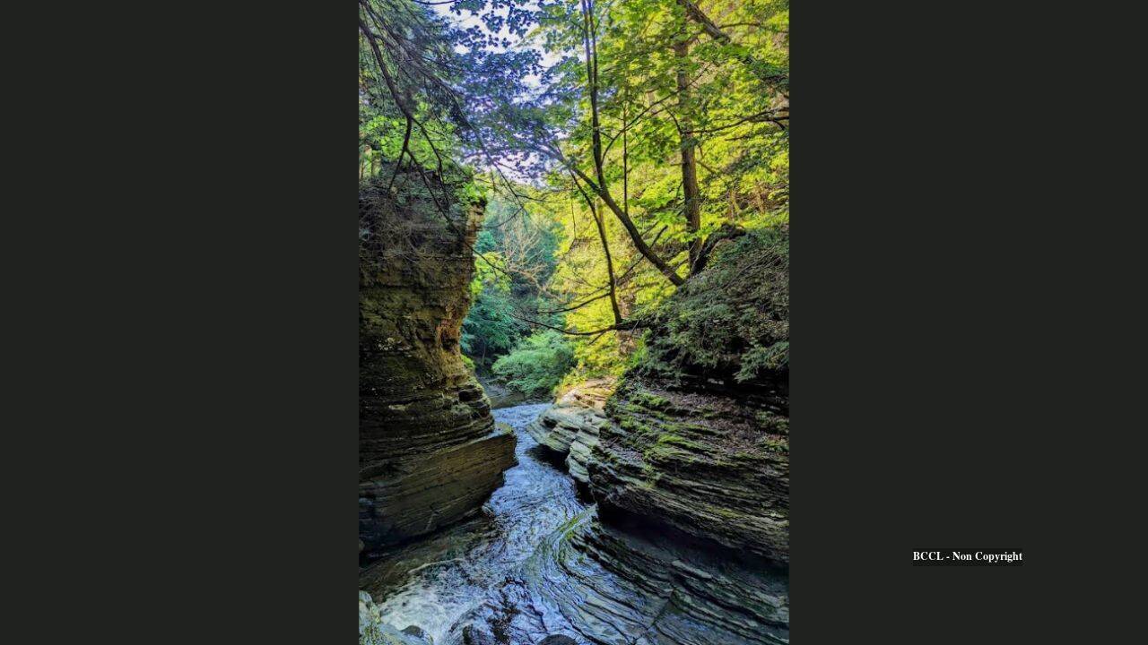 Land Trust Buys $1.3 Million Homestead to Expand Access to New York’s Buttermilk Falls State Park