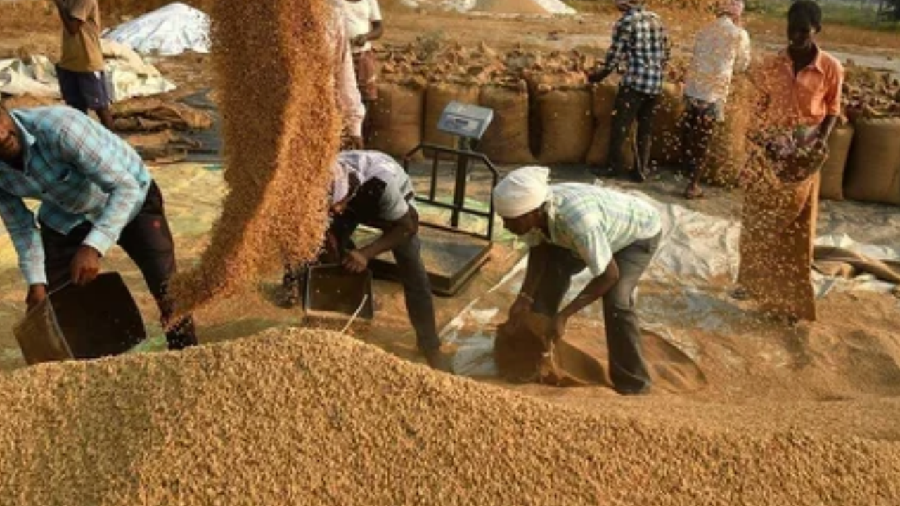 Rice Prices Near 100/kg as Karnataka Farmers Seek Water Loan
