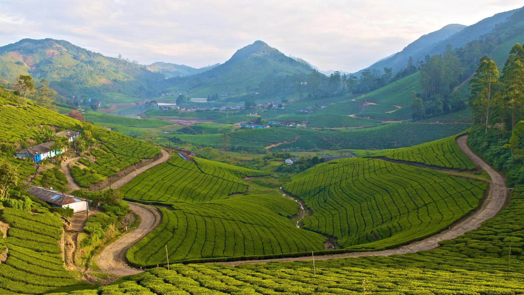 Meghamalai: Land of greens and blues